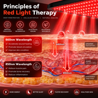 Full Body Red Light Therapy Mat, 59.1"*25.6" Whole Red Light Therapy Pad for Body with 660Nm & 850Nm, 600 Leds Redlight Blanket with Adjustable Timer & Intensity, Gifts for Women, Men, and Pets